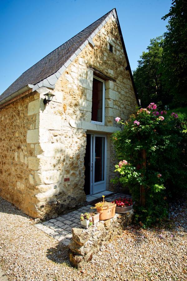 Domaine De La Juranvillerie, Gite Et Chambres D'Hotes Rigny-Ussé 외부 사진