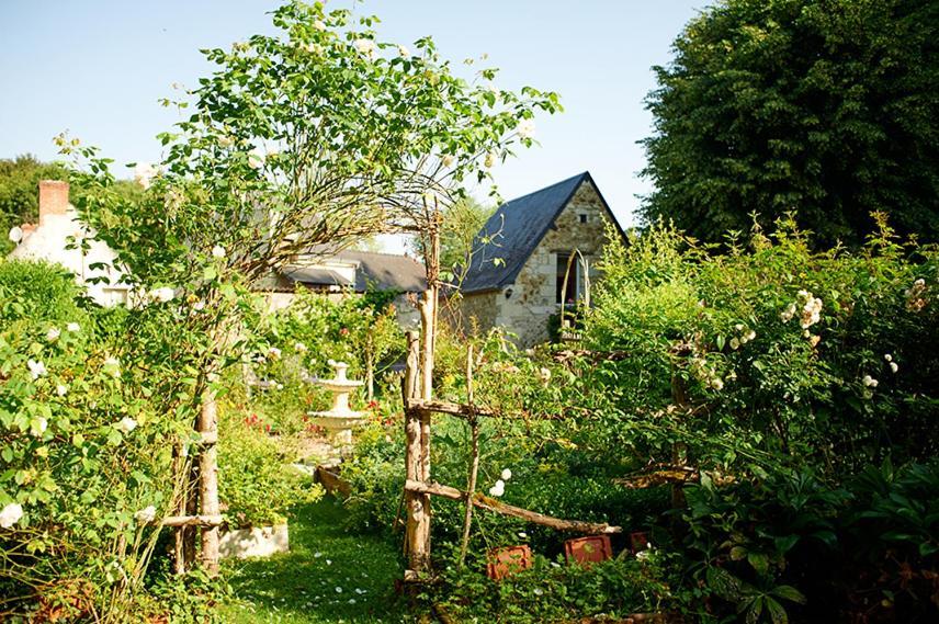 Domaine De La Juranvillerie, Gite Et Chambres D'Hotes Rigny-Ussé 외부 사진