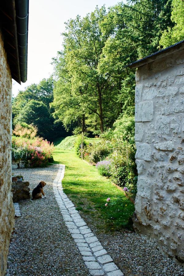 Domaine De La Juranvillerie, Gite Et Chambres D'Hotes Rigny-Ussé 외부 사진